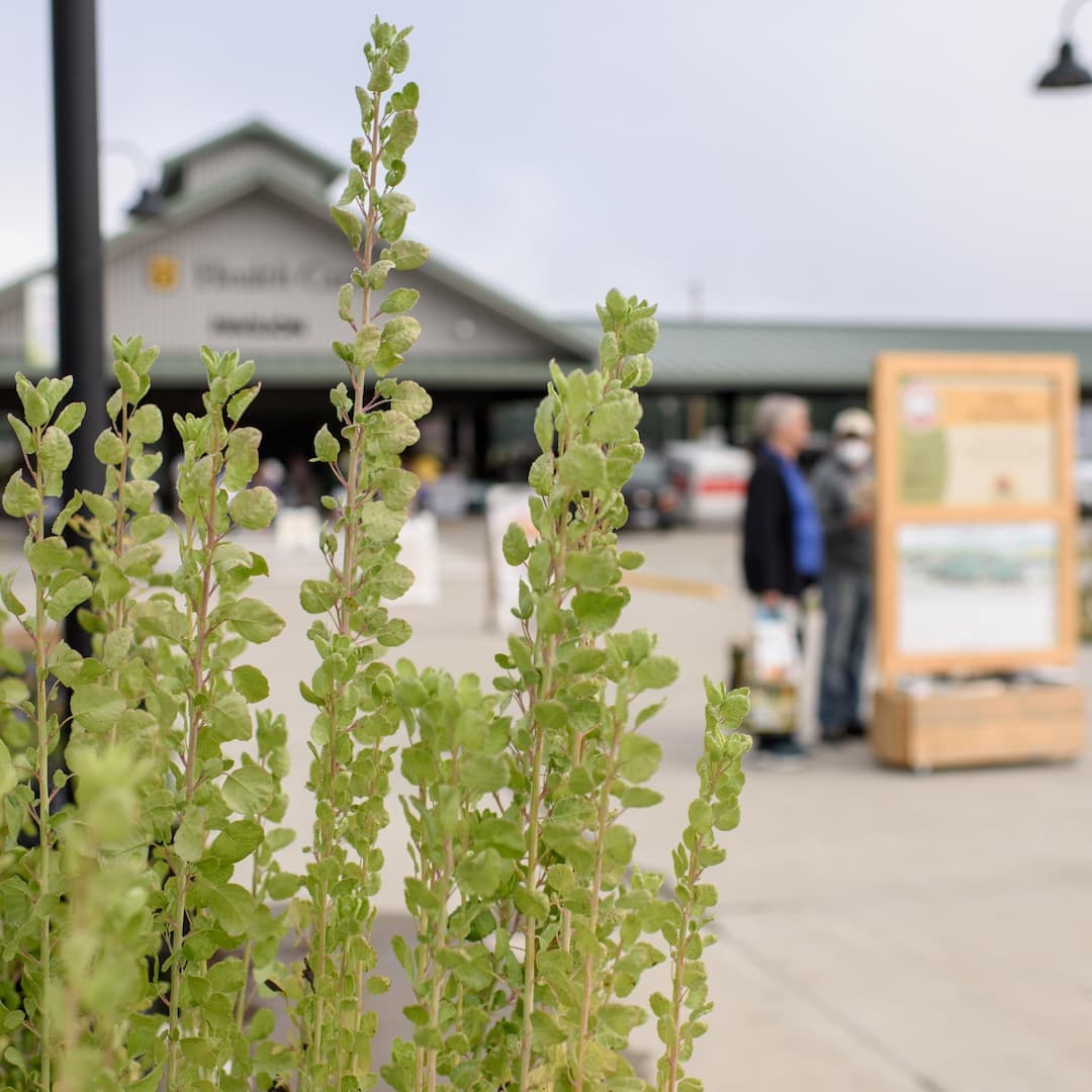Columbia Farmers Market