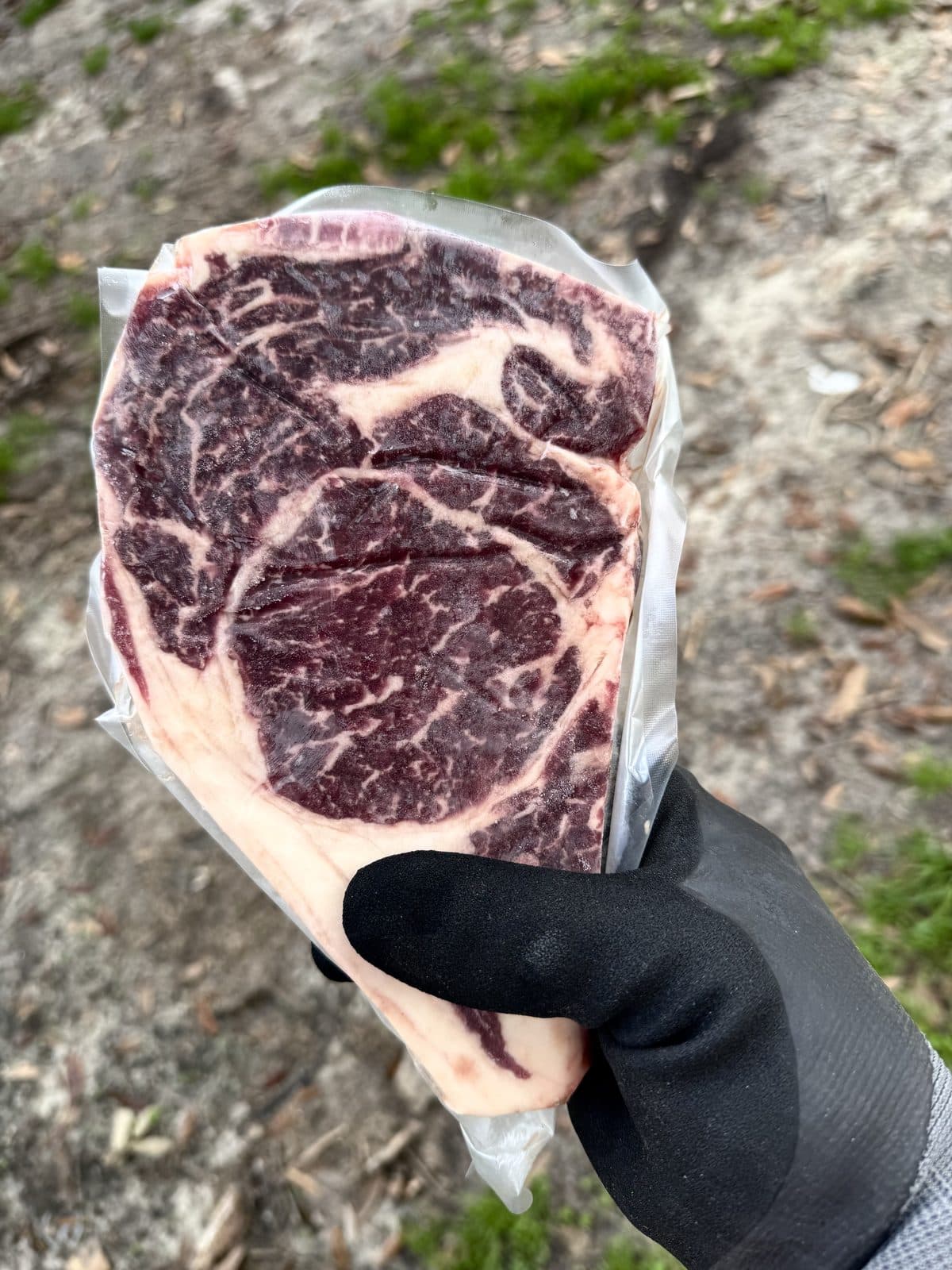 A marbled ribeye steak from Blackwater Pastures, dry aged and vacuum-sealed